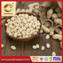Round Type New Crop Blanched Peanut Kernels 50/60